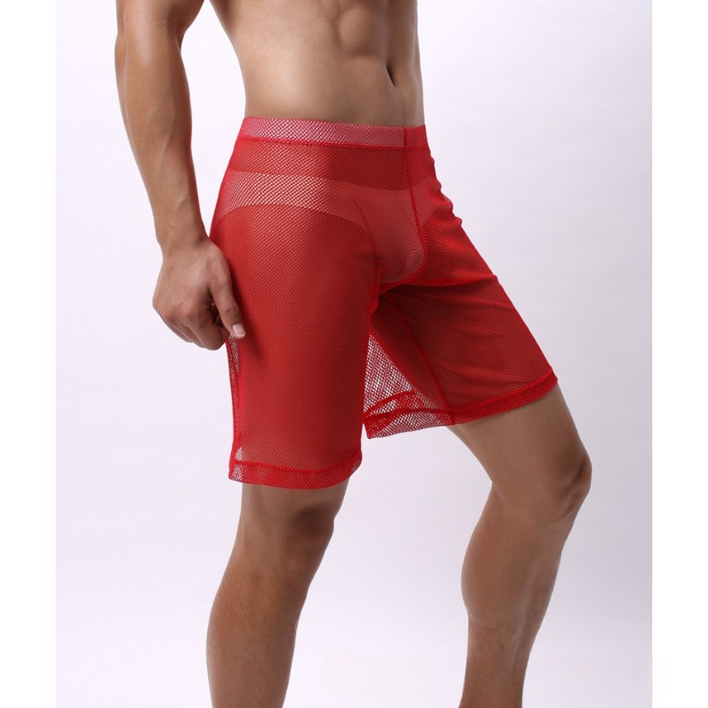 Low Rise Mesh Erotische Unterw – Pouch Boxer Pouch Bewertung und Preis