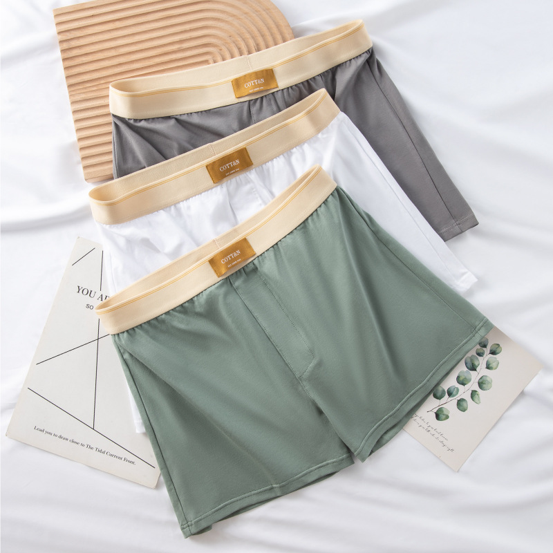 4 stücke Männliche Pfeil Hosen – Boxer Brief Pack Cotton Bewertung und Preis
